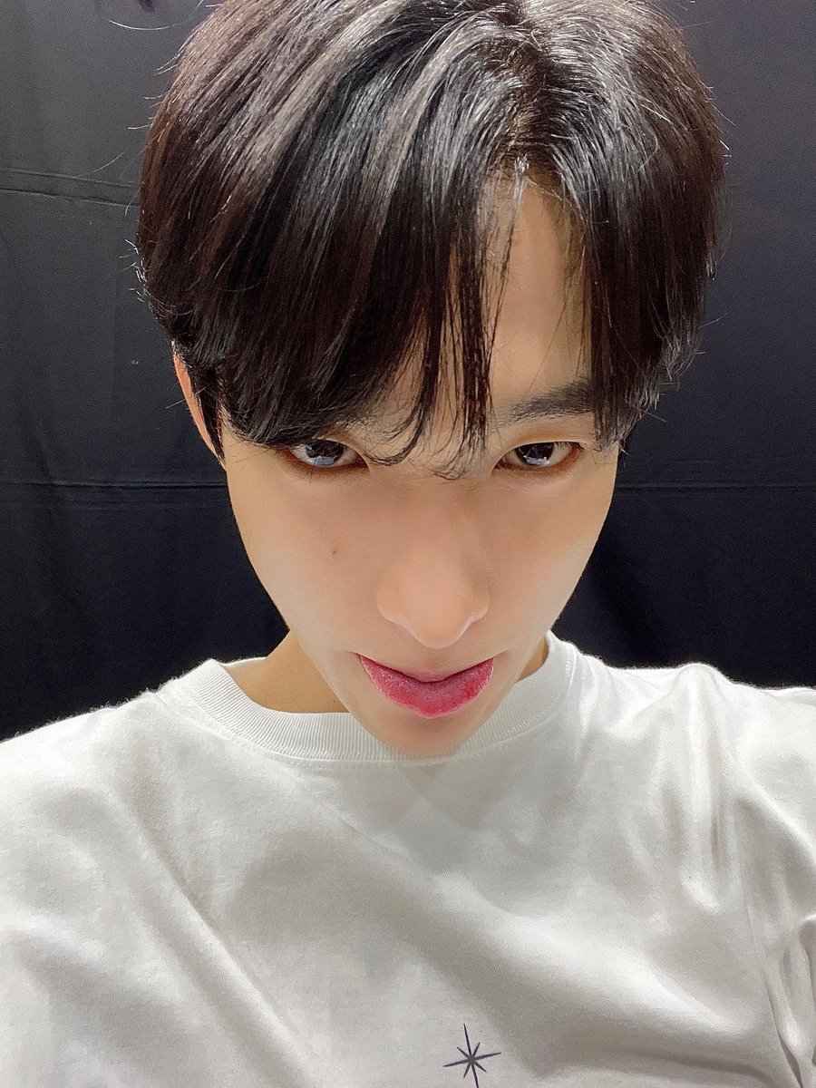 kyeomistar's tweet photo. i can’t do this anymore https://t.co/350ggId8T8