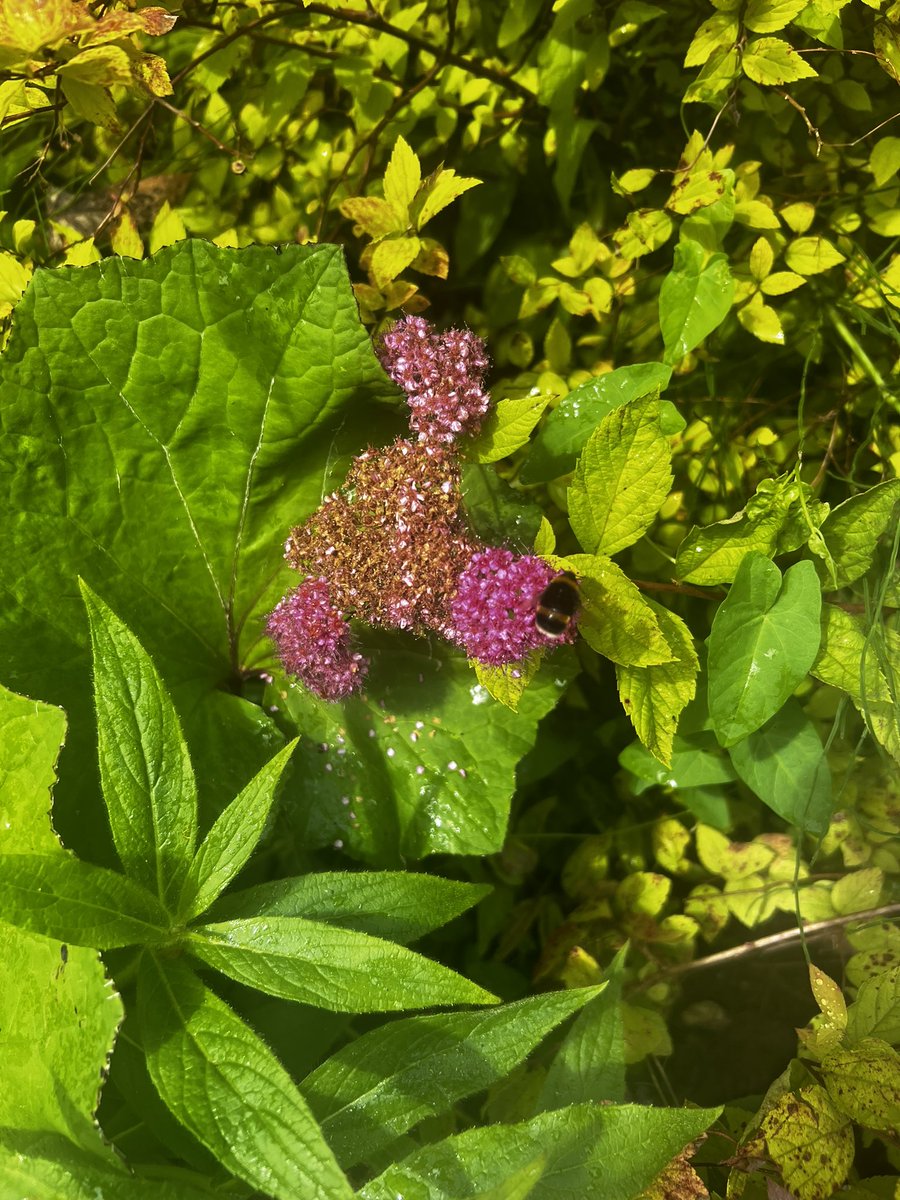 North Ayrshire Youth Services tweet media