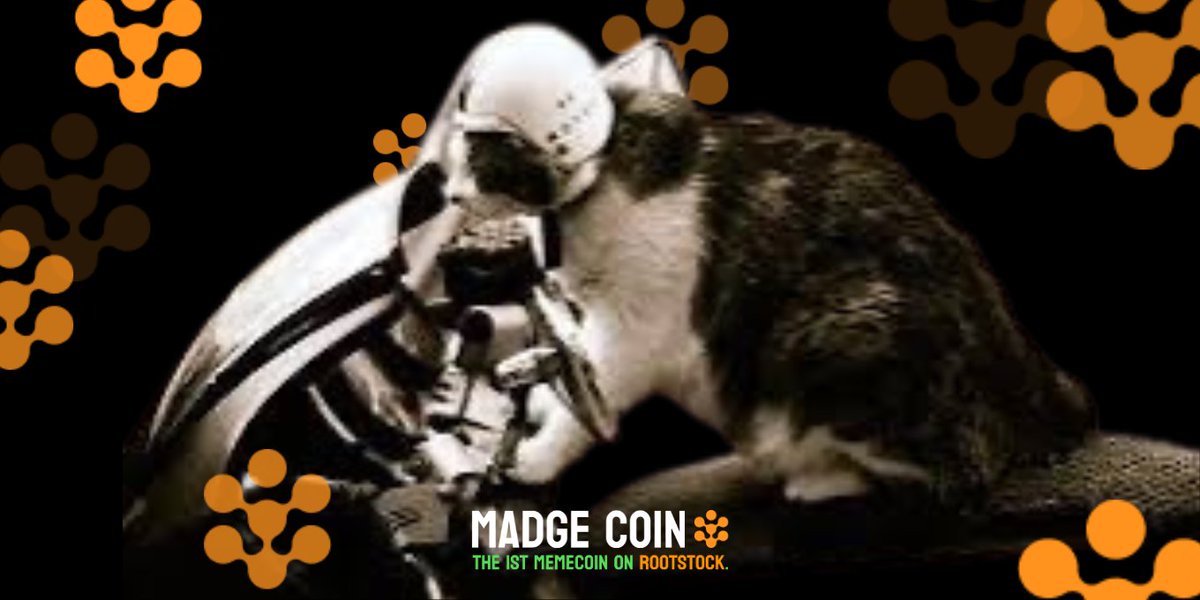 madgeymooo's tweet photo. 🐾 Hey fam! It's your last week to mint our very first NFT, Madge Meme Masterpieces! 🐾

⏳ After this, minting will pause as we bring some purrfectly exciting news to our family. 🐱

🚀 Launching the $MAD token was just the beginning of our journey on @rootstock_io. Up next, we’re rolling out the first-ever platform on Rootstock for creating your own tokens – a whole new memecoin economy for Bitcoin lovers! 💥

🌐 https://t.co/YkqHUNbdHk: remember this domain! 🌐

#MadgeCoin #Bitcoin #Rootstock 

👇