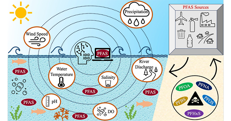 EnvSciTech's tweet photo. A team led by @UfGeohlab of @UF @UFWertheim @essie_uf used a #ClassificationandRegressionTree (CART) algorithm to identify the relations between #EnvironmentalStressors and #PFAS prevalence in a coastal lagoon.
Read more in ACS ES&T Water: https://t.co/vZlPbcdInz https://t.co/nARfQMTNuz