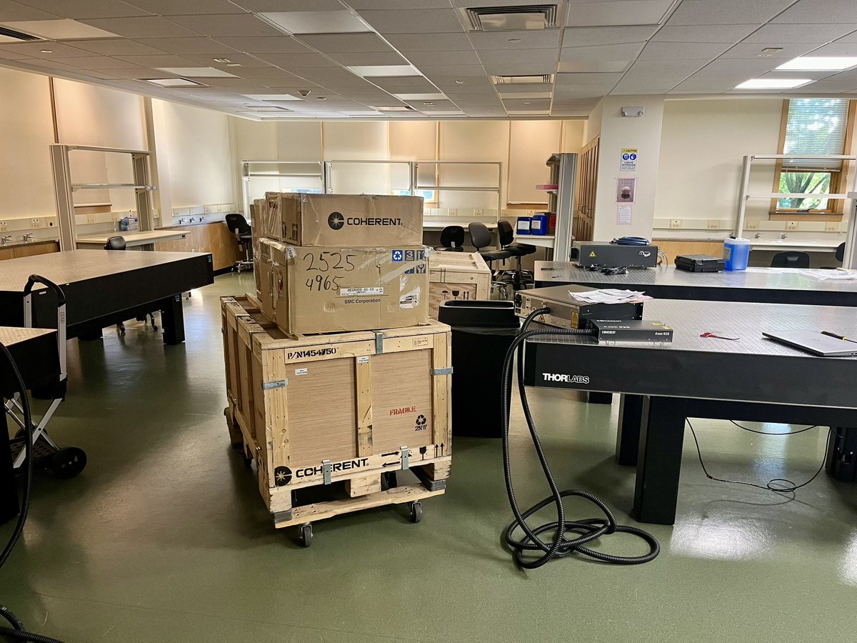 ewadorotaz's tweet photo. “Imaging Structure & Function in the Nervous System” course is just around corner and @CoherentCorp is setting up the lasers! Watch out for a lot of fluorescence imaging pictures!

Pictures courtesy of Michael Maikowski, Falk Preller and Barbara Zane.

#cshlimaging2024 #Neuroscience #microscopy #2Photon