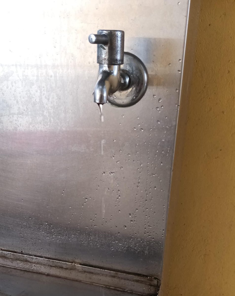 SadhikaDasgupta's tweet photo. Remember the Bengaluru water crisis? Treated it like gold. Now my PG's tap is a mini Niagara Falls! We've certainly gone from #𝗻𝗲𝗲𝗱𝗳𝗼𝗿𝗻𝗲𝗲𝗿𝘂 to #TooMuchNeeru in no time🙃

#PGProblems #bengaluruliving #bengaluruwaterwoes

#𝗻𝗲𝗲𝗱𝗳𝗼𝗿𝗻𝗲𝗲𝗿𝘂 https://t.co/749d4IHWT4