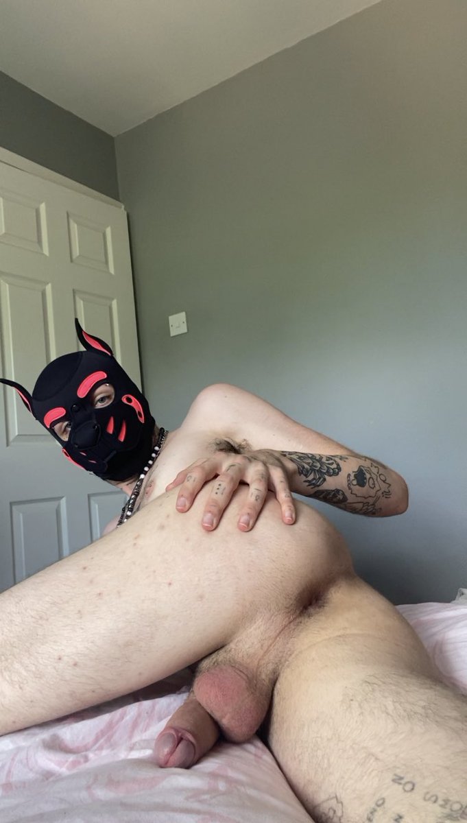 scruffythemutt's tweet photo. Lick from the pole to the hole, pup~
#gaypup #pupplay #puppyplay #gaypupplay #gaykink #fuzzbutt https://t.co/uHVX99dUDC