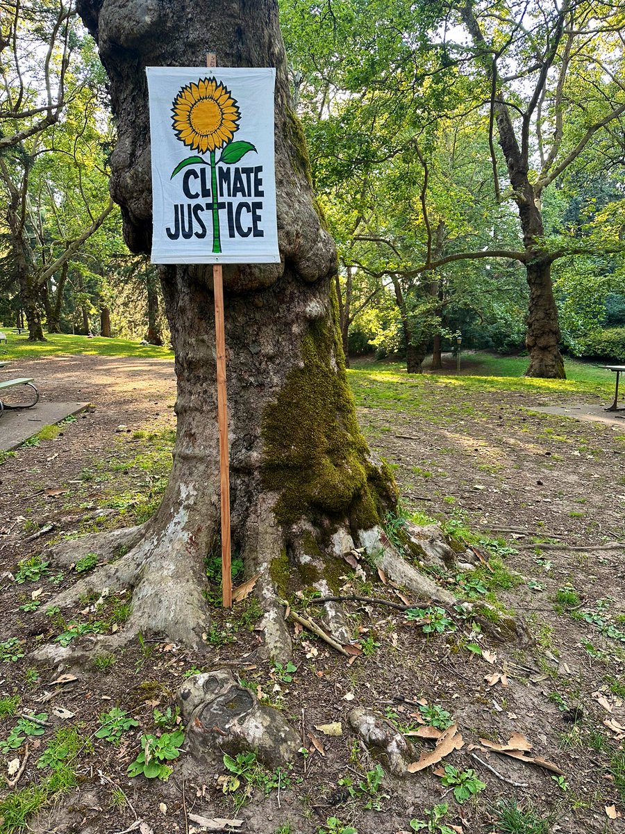 Charlie Roscoe, PhD tweet media