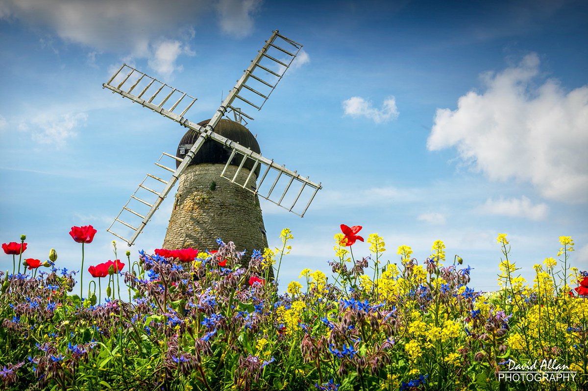 David Allan (@davidm_allan) on Twitter photo Dancing in the summer sunshine – wild flowers providing a colourful carpet for Grade II listed Whitburn Mill in South Tyneside. The 'tower mill' dates from 1790 and was built to grind corn... <a href="/SouthShieldsUK/">South Shields UK</a> <a href="/NorthEastTweets/">North East Tweets</a> <a href="/VisitEngland/">VisitEngland</a> <a href="/VisitBritain/">VisitBritain 🇬🇧</a> Dancing in the summer sunshine – wild flowers providing a colourful carpet for Grade II listed Whitburn Mill in South Tyneside. The 'tower mill' dates from 1790 and was built to grind corn... <a href="/SouthShieldsUK/">South Shields UK</a> <a href="/NorthEastTweets/">North East Tweets</a> <a href="/VisitEngland/">VisitEngland</a> <a href="/VisitBritain/">VisitBritain 🇬🇧</a>