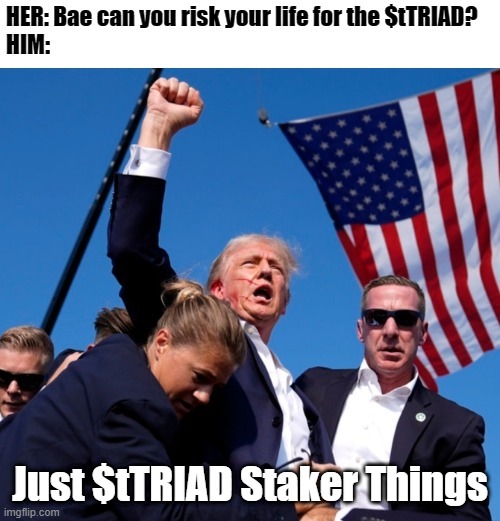 0xAdnan14's tweet photo. (1/3)
Participating in @triadfi 's #meme contest, cuz.. why not!
#meme #DeFi #SolanaProjects #NFT #Crypto #Staking #tTriad #triadfi https://t.co/0sVPMKIDv5