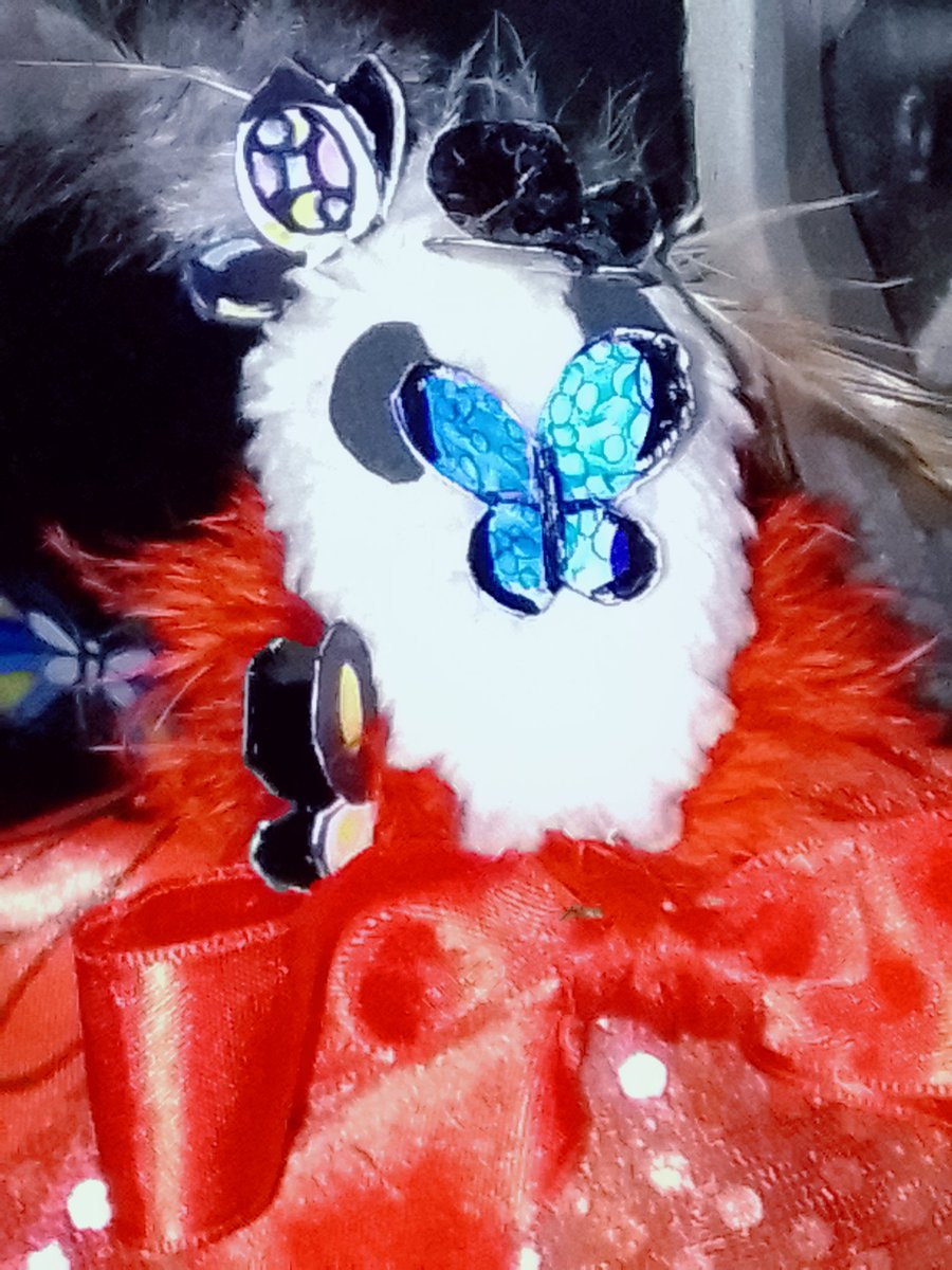Djsusu13's tweet photo. ๐๏ธโ "A rest in the forest.."๐ฆ๐ฆ๐ฆ
#Mothew #Mothewthemoth #Artdoll #photographic https://t.co/On45hTfvfH
