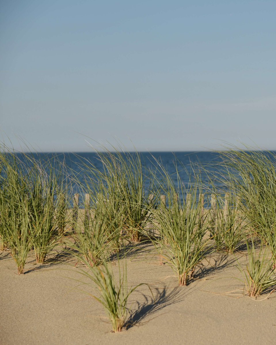 Visit_NJ's tweet photo. The views from Spring Lake never get old. A casual Tuesday on the Jersey Shore...🦪🦀
#VisitNJ #SpringLakeNJ #BelmarNJ #NJBeaches https://t.co/sDtqmOV1oF