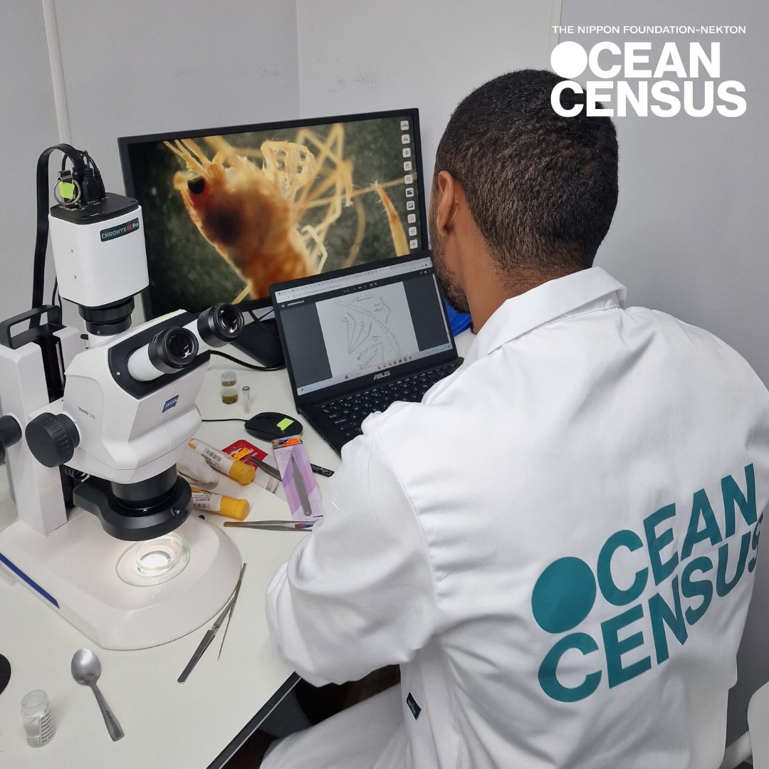 Apply for our financial awards by 31st July⬇️

🔬Taxonomy Awards - for taxonomists to complete the description of new marine species.

🎤Science Event Awards - to attend, represent and promote the Ocean Census at local, regional &amp; national events.

Apply: oceancensus.pulse.ly/dbuhzibauo