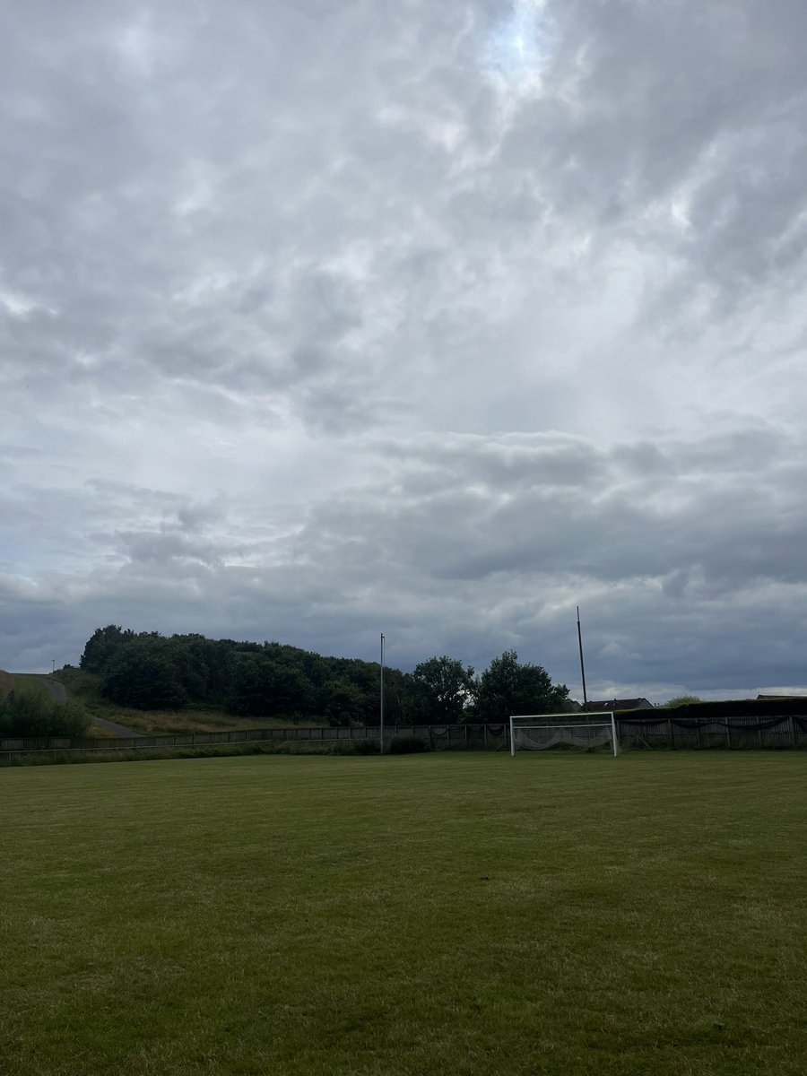 Regan Graham tweet media