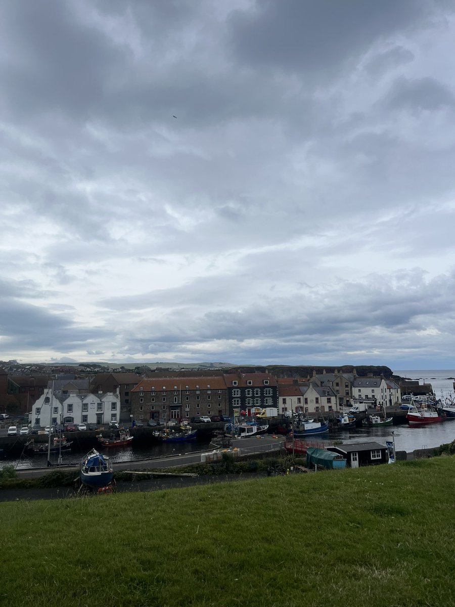 Regan Graham tweet media