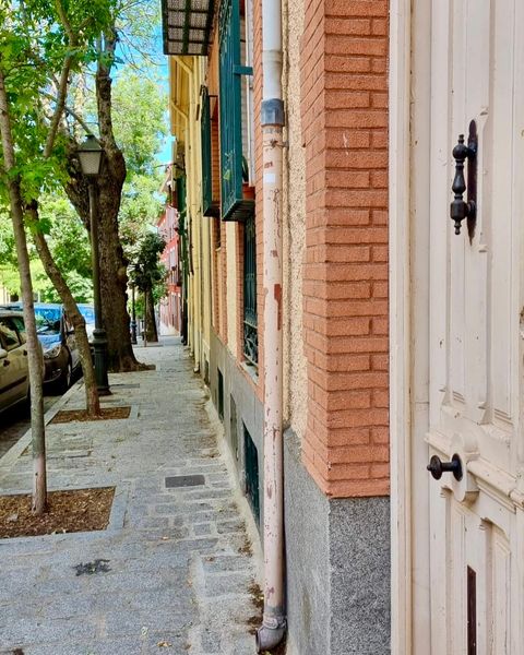 ☀️ Calles preciosas y con sombra, las ideales para disfrutar del fin de semana💫 en #SanLorenzoDeElEscorial

#TurismoSanLorenzoDeElEscorial
#SanLorenzoMasQueUnDestino
#centrohistorico