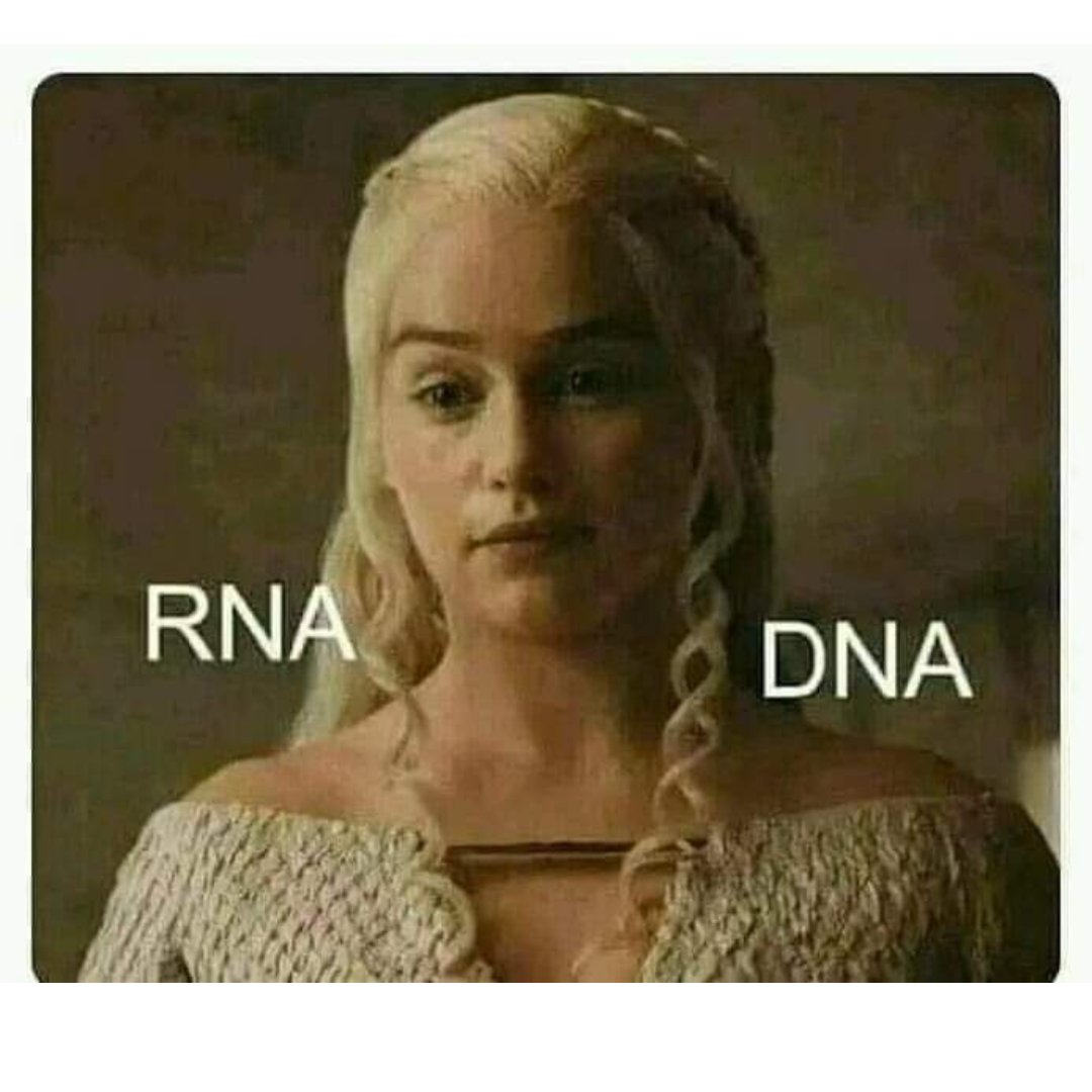 Happy Friday! Science is everywhere for those with the eyes to see 🤭 Any fantasy fans here watching House of the Dragon? 
🐉
 #HappyFriday #ScienceEverywhere #HouseOfTheDragon #HOTD #ScienceLovers #FridayVibes #ScienceMeme #DNA #RNA #Biology