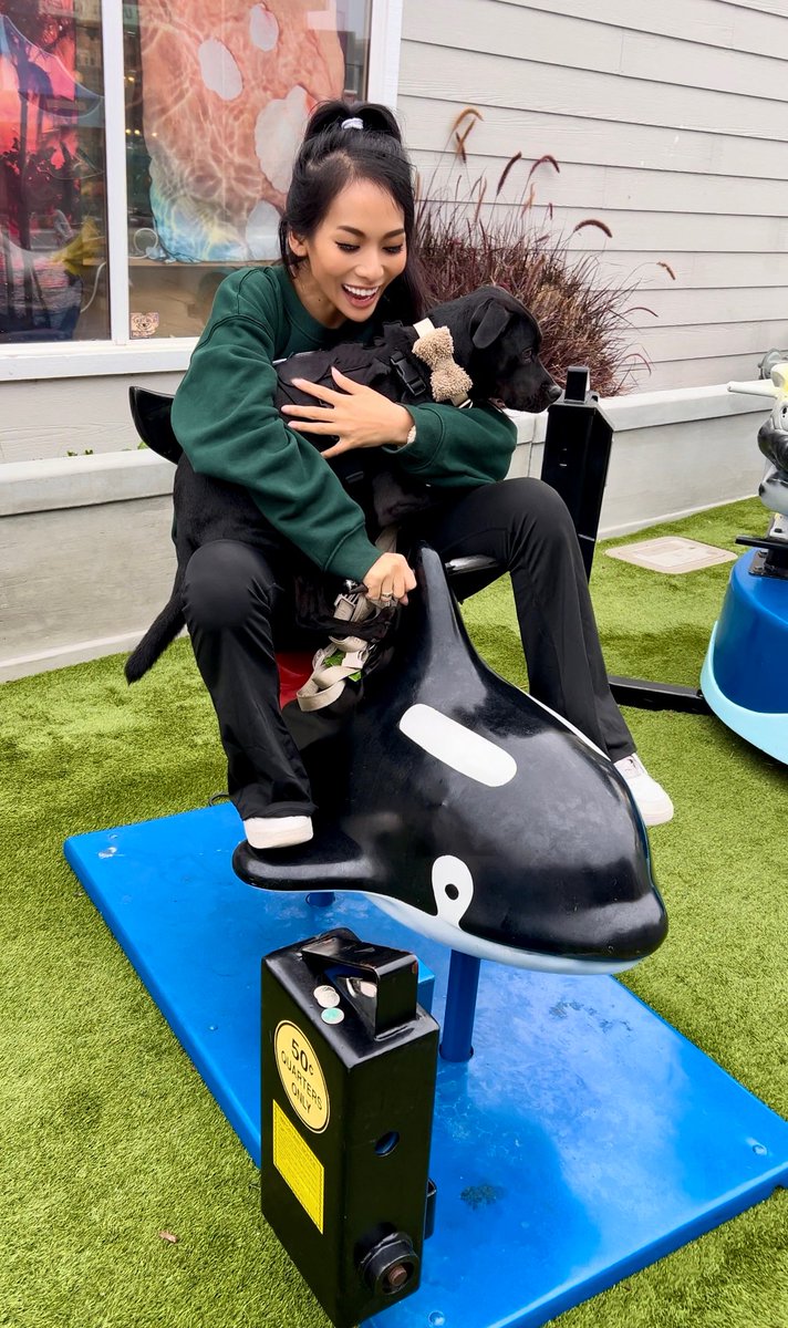 iluuminate tweet media