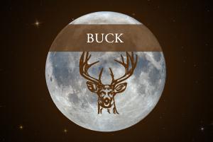 Celebration of Space - July 19, 2024 frostydrew.org/publications.d…