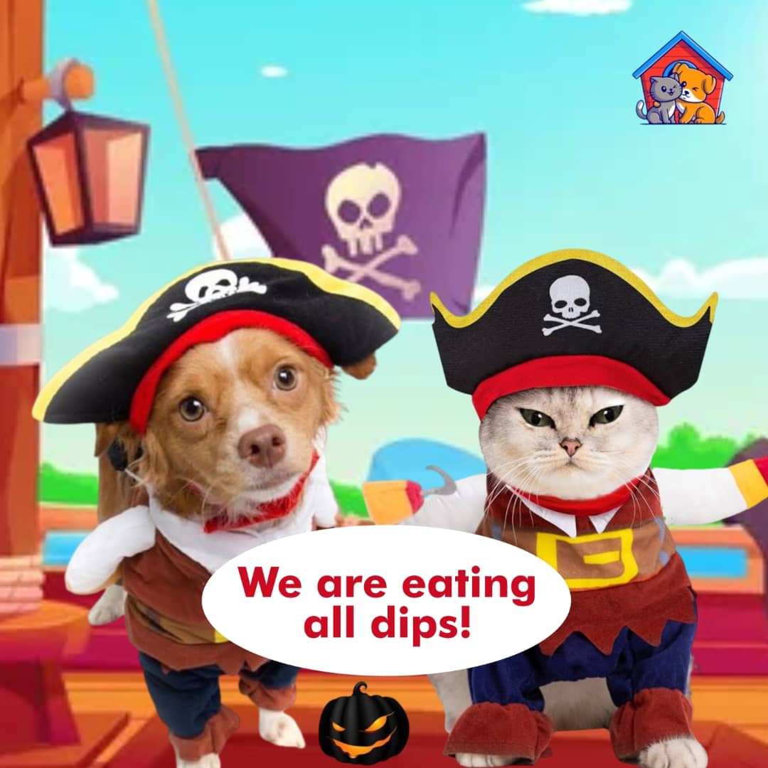 DogwifCat tweet media