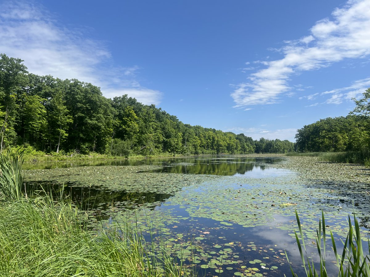CVC_CA's tweet photo. Your next adventure awaits at Terra Cotta Conservation Area! Discover everything this Niagra Escarpment park has to offer and start planning your next visit! https://t.co/Muvp9q9G8F #CVCConversation #ConservationBlog https://t.co/G05oUutl8U