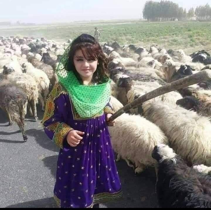 Ishaq8131's tweet photo. When a simplicity have face?#heatwave https://t.co/Azk4TB8zUD