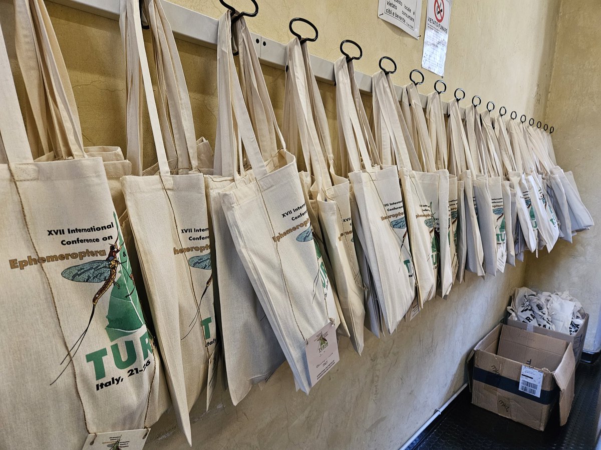 <a href="/Ijmep24/">IJM Congress 2024</a> getting ready 😎