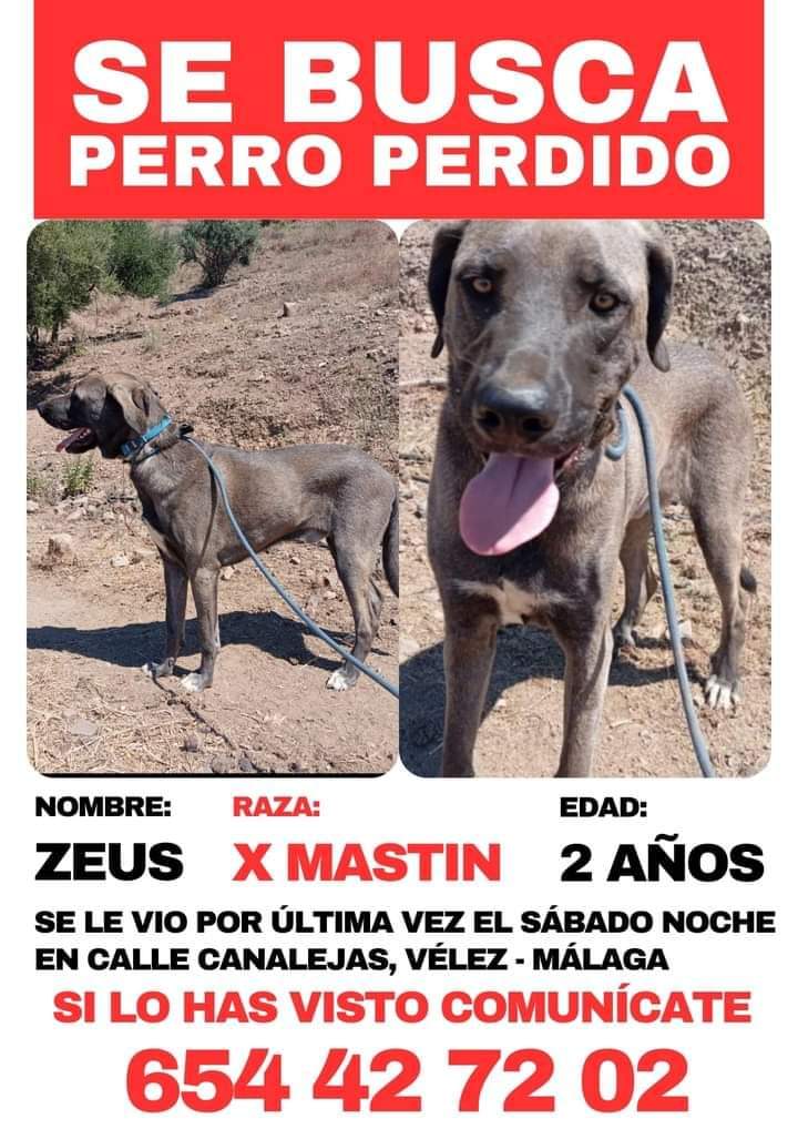 SilviaMylo's tweet photo. Sigue desaparecido 😔 https://t.co/AfVBjtUNvR