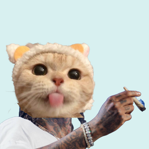Mlem tweet media
