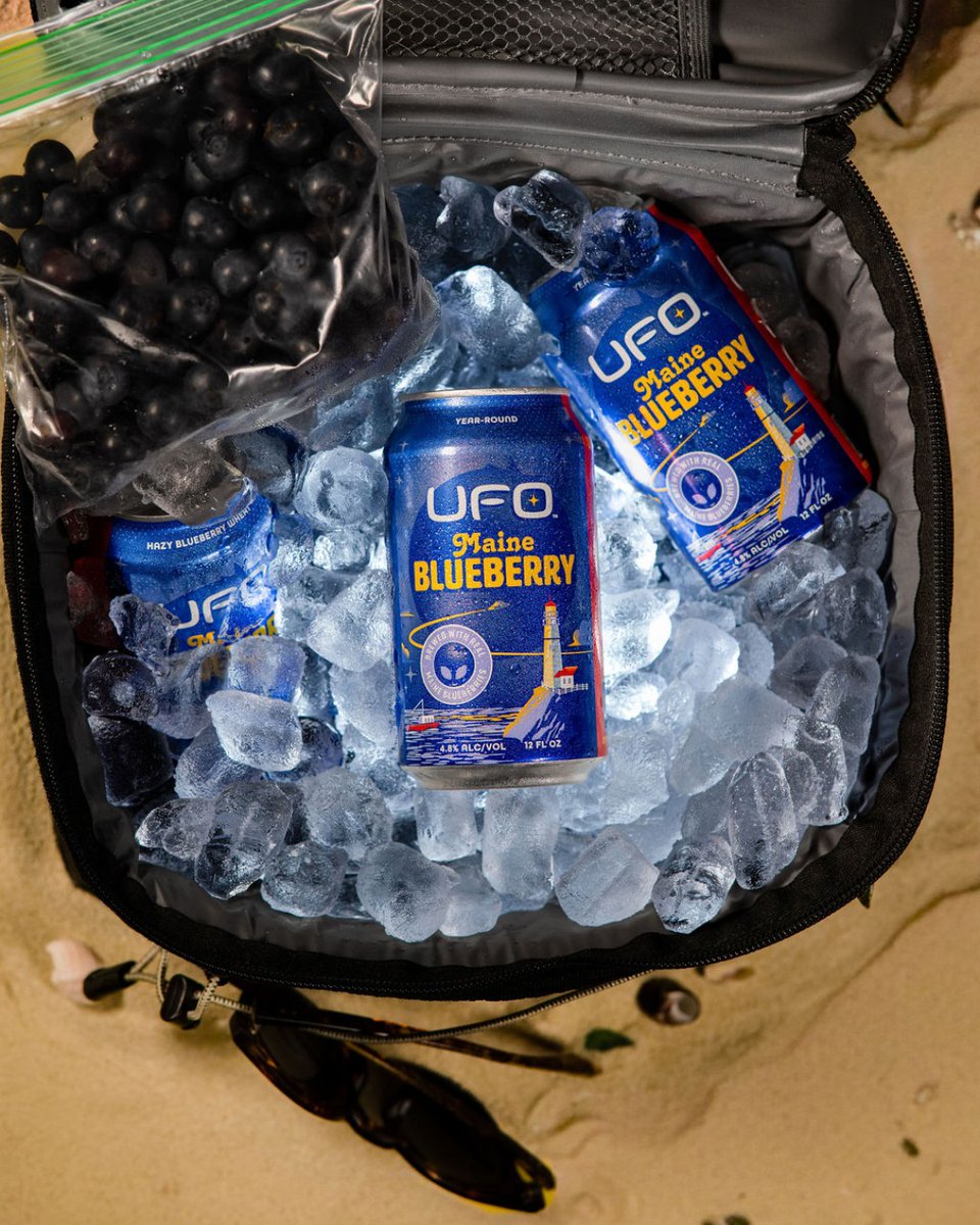 Being on the beach with a cooler full of ice cold UFO Maine Blueberry >>>>> literally anything else