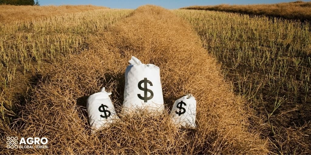 👨🏻‍💻+🌾=💰

#agro