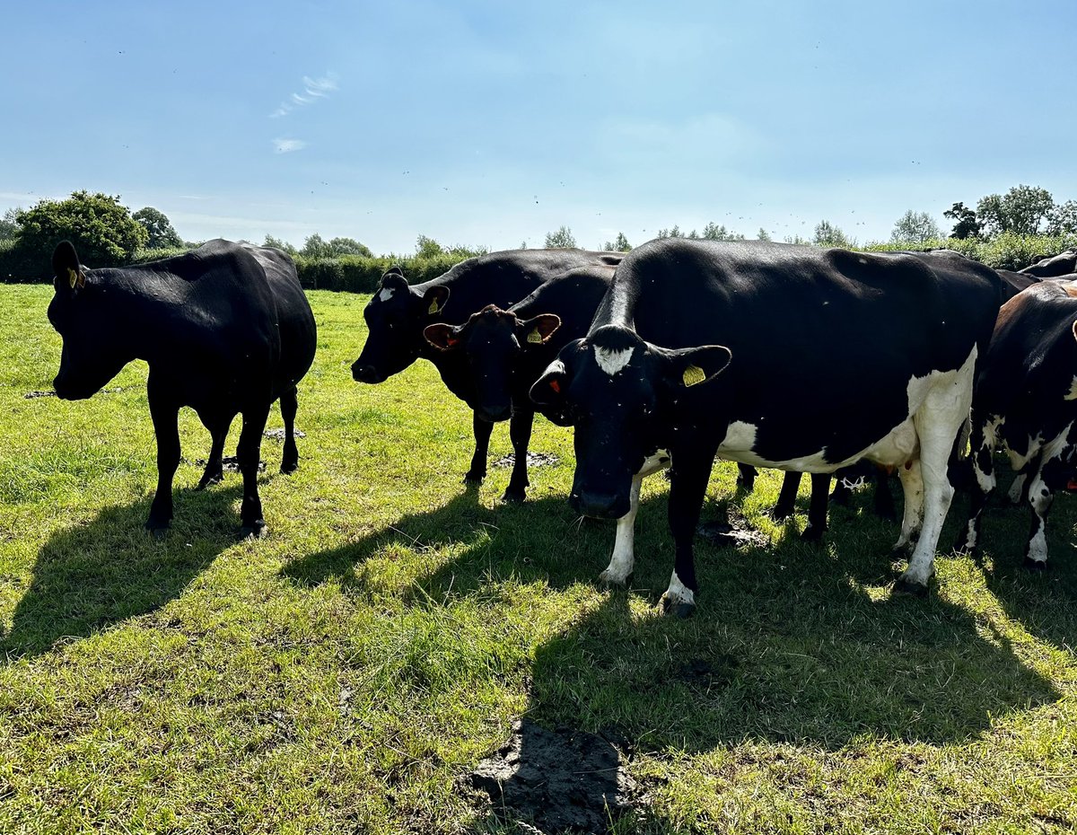 Great week spent judging #FWAwards Grassland finalists. A real privilege to see some top farmers doing some really great stuff across the country. Thank you <a href="/FarmersWeekly/">Farmers Weekly</a> and fellow judges 😊