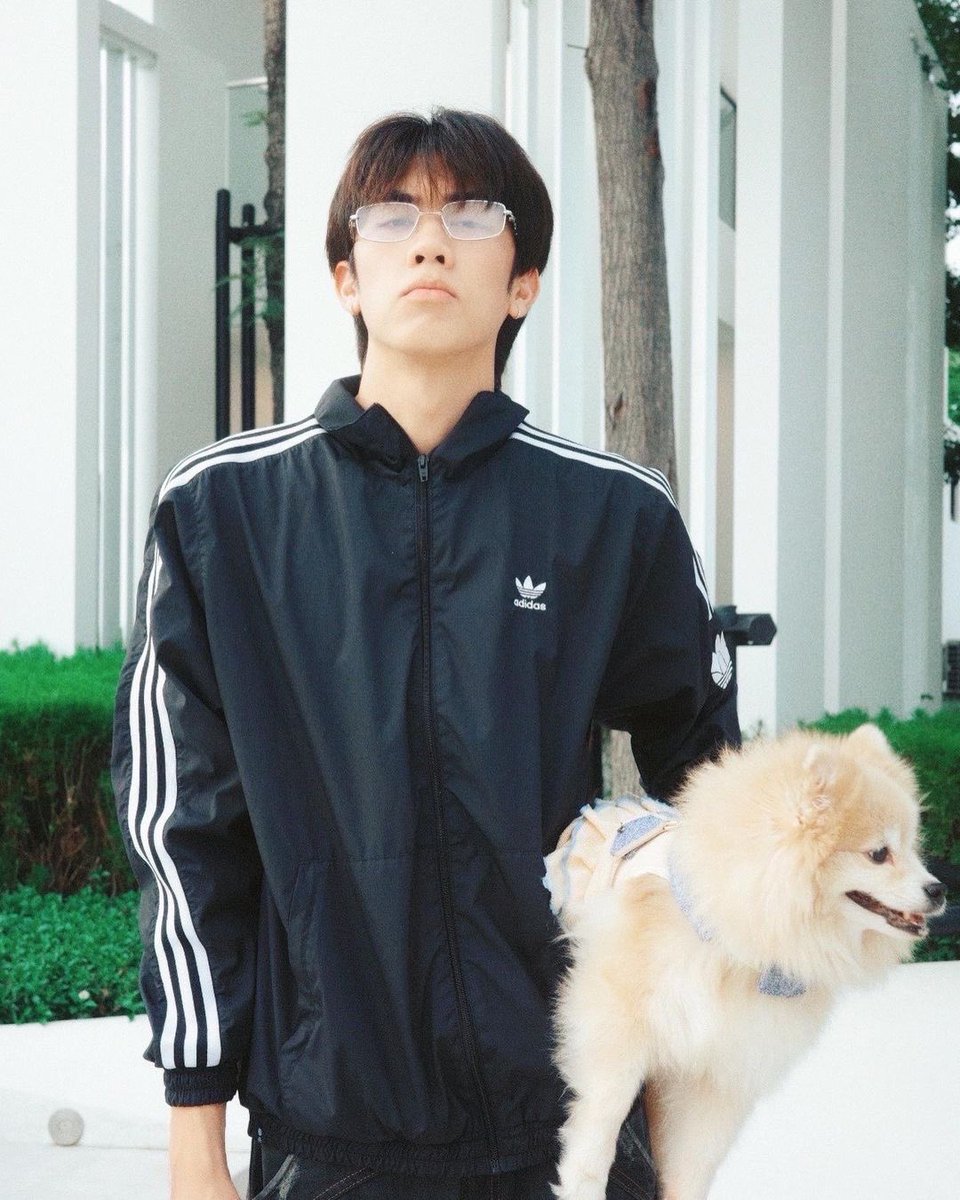 the idol                                 the fanboy