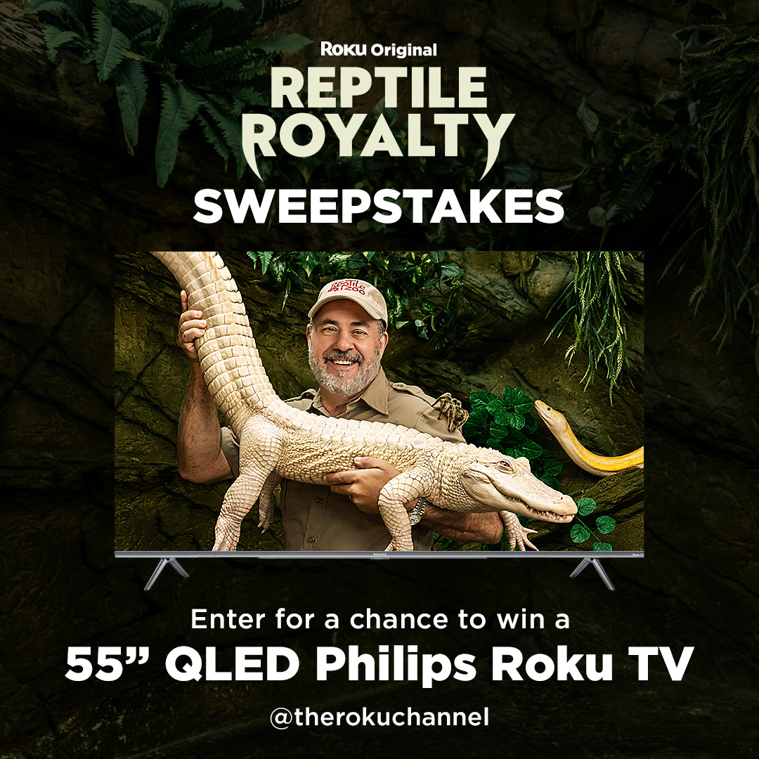 TheRokuChannel's tweet image. 🚨 GIVEAWAY 🚨 

To celebrate the launch of season 2 of #ReptileRoyalty, we're giving away a new @Philips TV!

🐍 RT and reply with #ReptileRoyalty for a chance to win