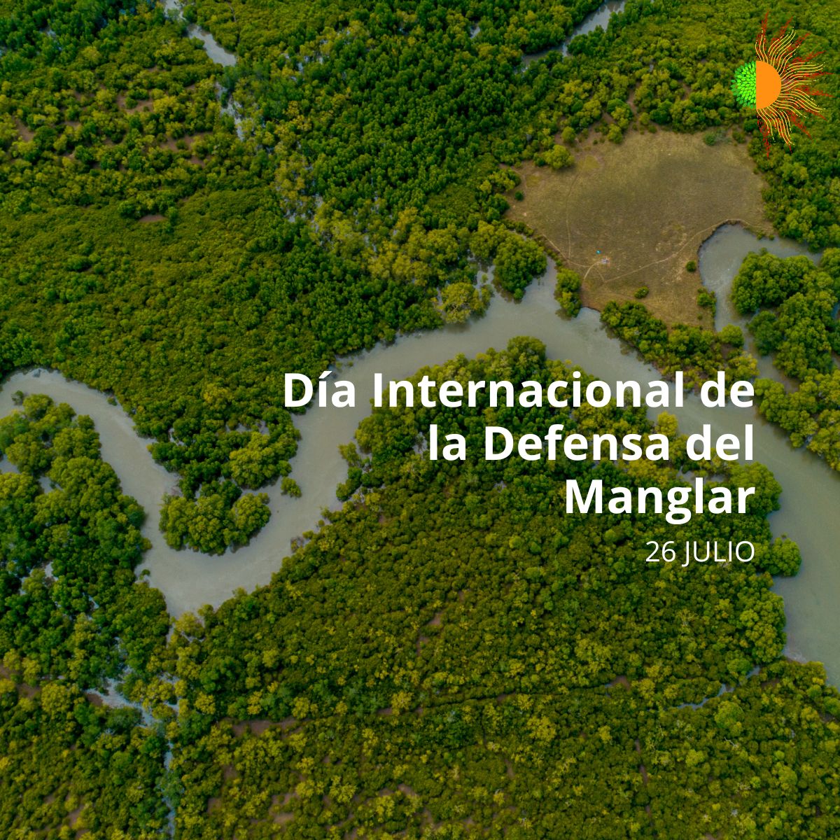 Biotermicainn's tweet photo. Los #manglares absorben grandes cantidades de #carbono,  filtran el agua, actúan como barreras naturales contra tormentas y erosiones, protegen nuestras costas y albergan una rica biodiversidad. https://t.co/AQ2HlePPGT