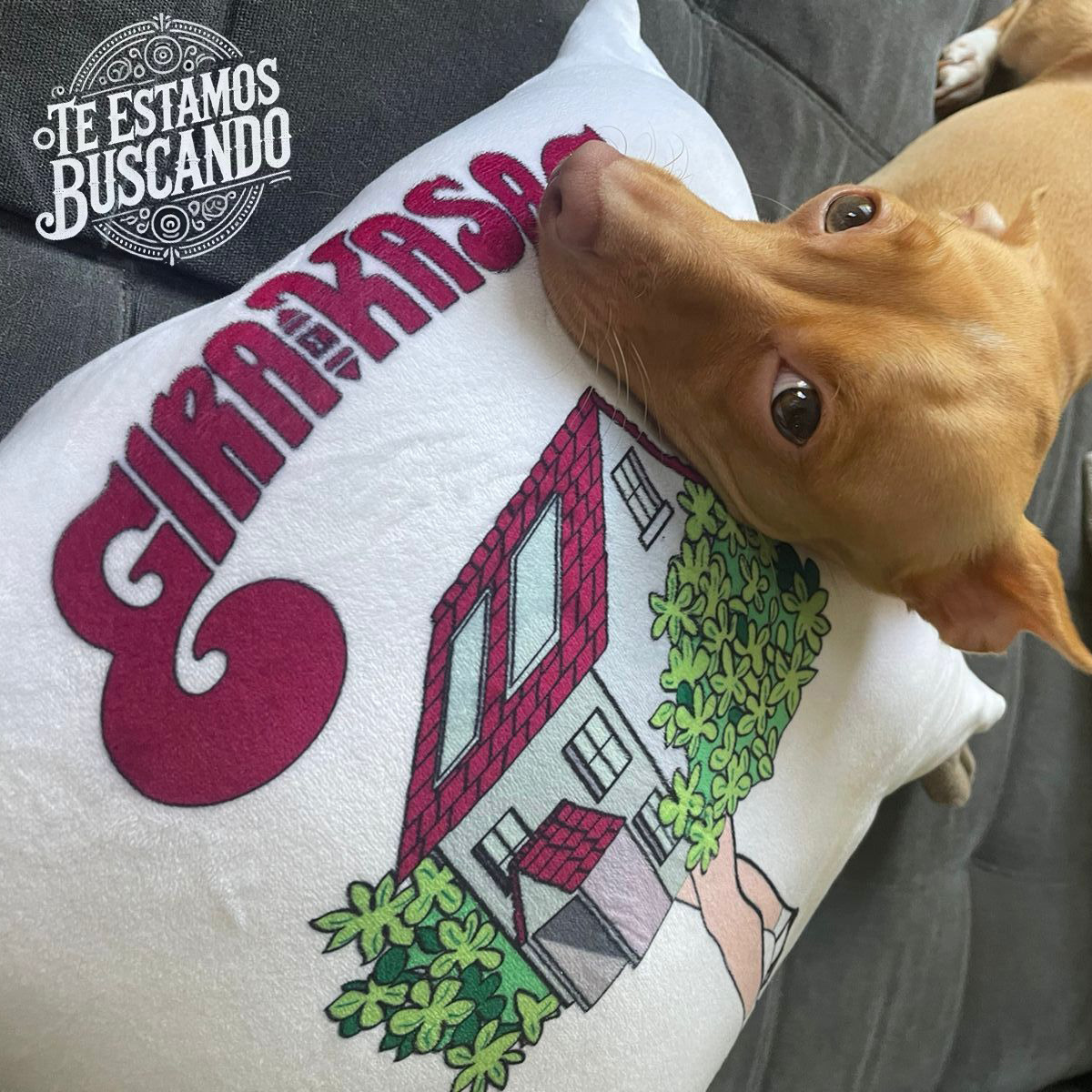 Aquí tienen los requisitos para hacer su Gira en KAsas.

vivalaka.net/requisitos-gk/