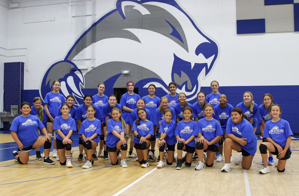 Amarillo College Badger Volleyball tweet media