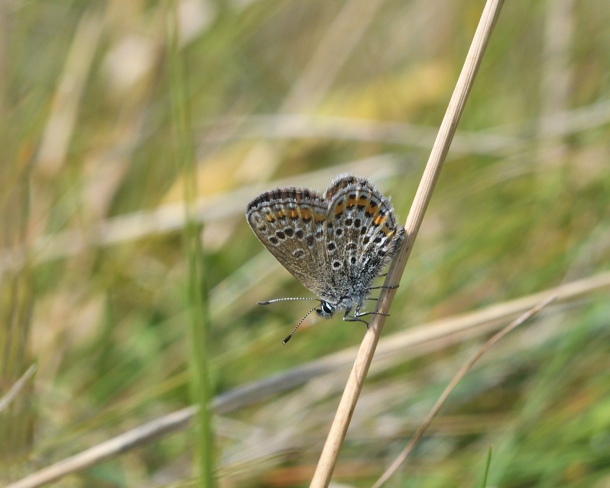 Steph Murphy tweet media