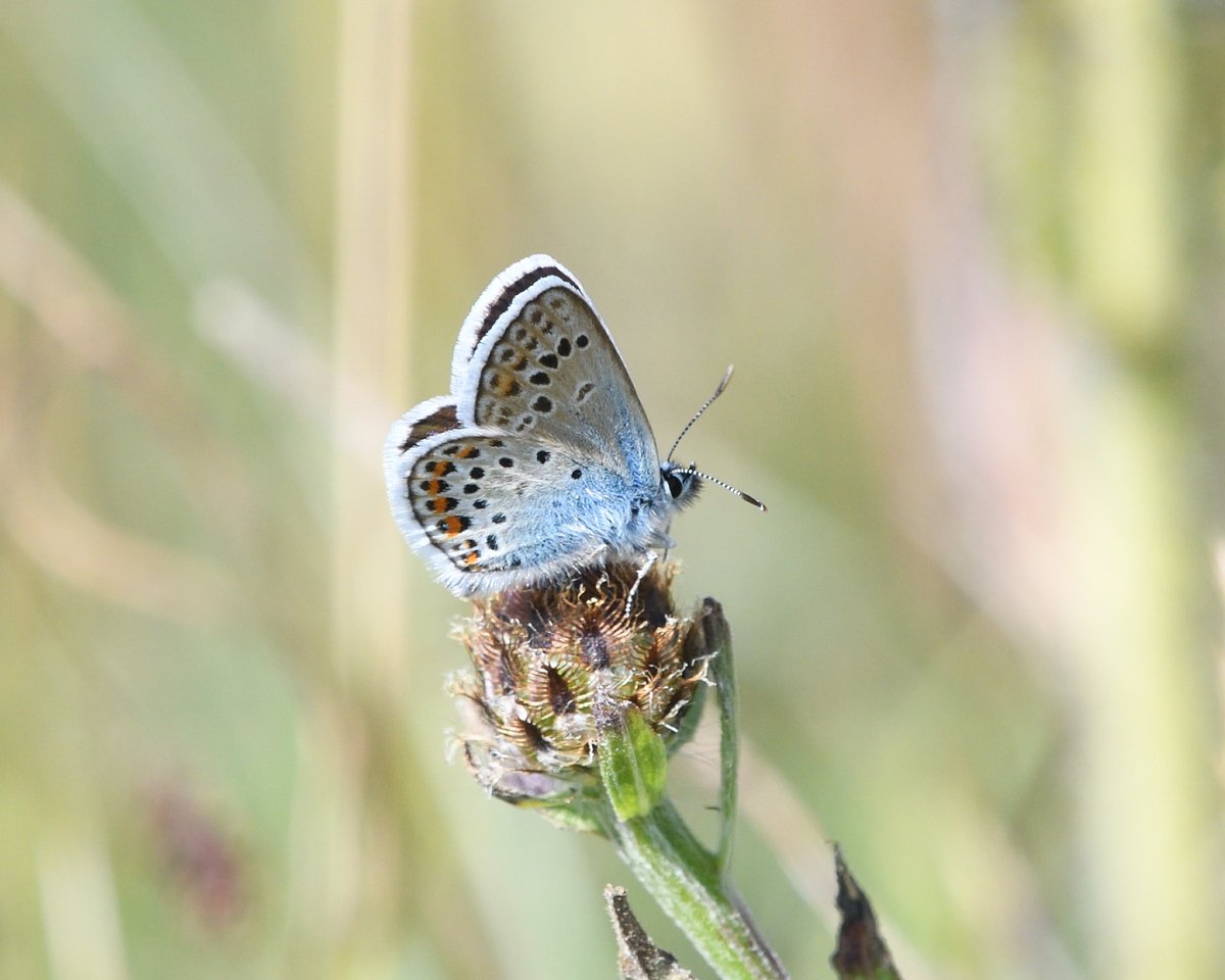 Steph Murphy tweet media