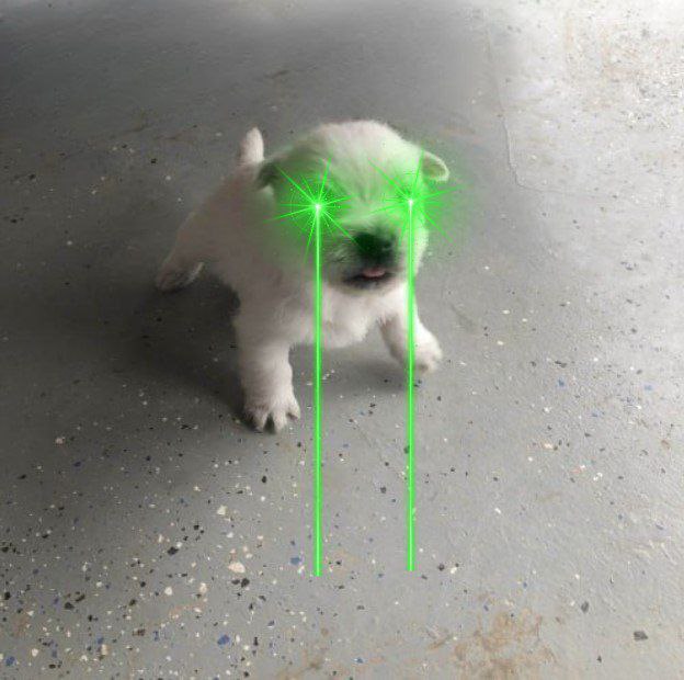 SaucyJack0x's tweet photo. @The__Solstice @blknoiz06 $WILLI headed to milly!

🔗 @WilliCTO
📢 https://t.co/5jGJ2eouky
CA: 465vRqHtd8Yg5HaqMDFZ12NGmbbPg83KmDnXzeMtpump https://t.co/9NGPk6ols9