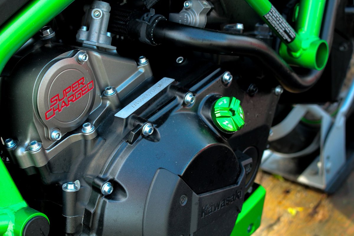 thislilalien's tweet image. Kawasaki 💚