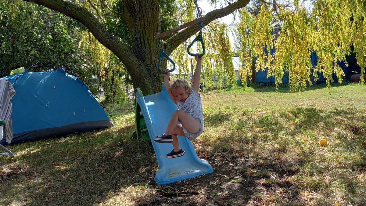 Time&Space Learning tweet media