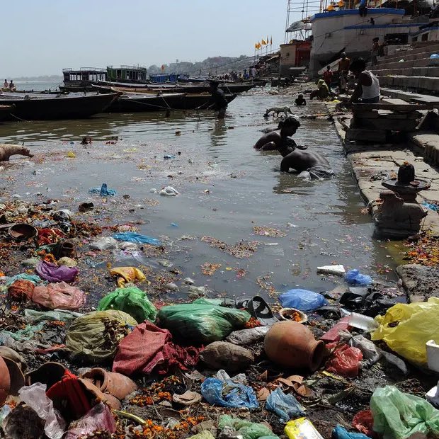 Pediavenir tweet media