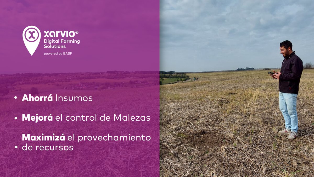 xarvioAR's tweet photo. ✅ Con xarvio® FIELD MANAGER, ahora podrás economizar y mejorar en el control de malezas mediante un servicio innovador, simple y sustentable, realizando aplicaciones sectorizadas de herbicidas a partir de imágenes generadas por drones.​

Conoce mas en: https://t.co/0HUwVyuMZd https://t.co/K1grCaVdB0