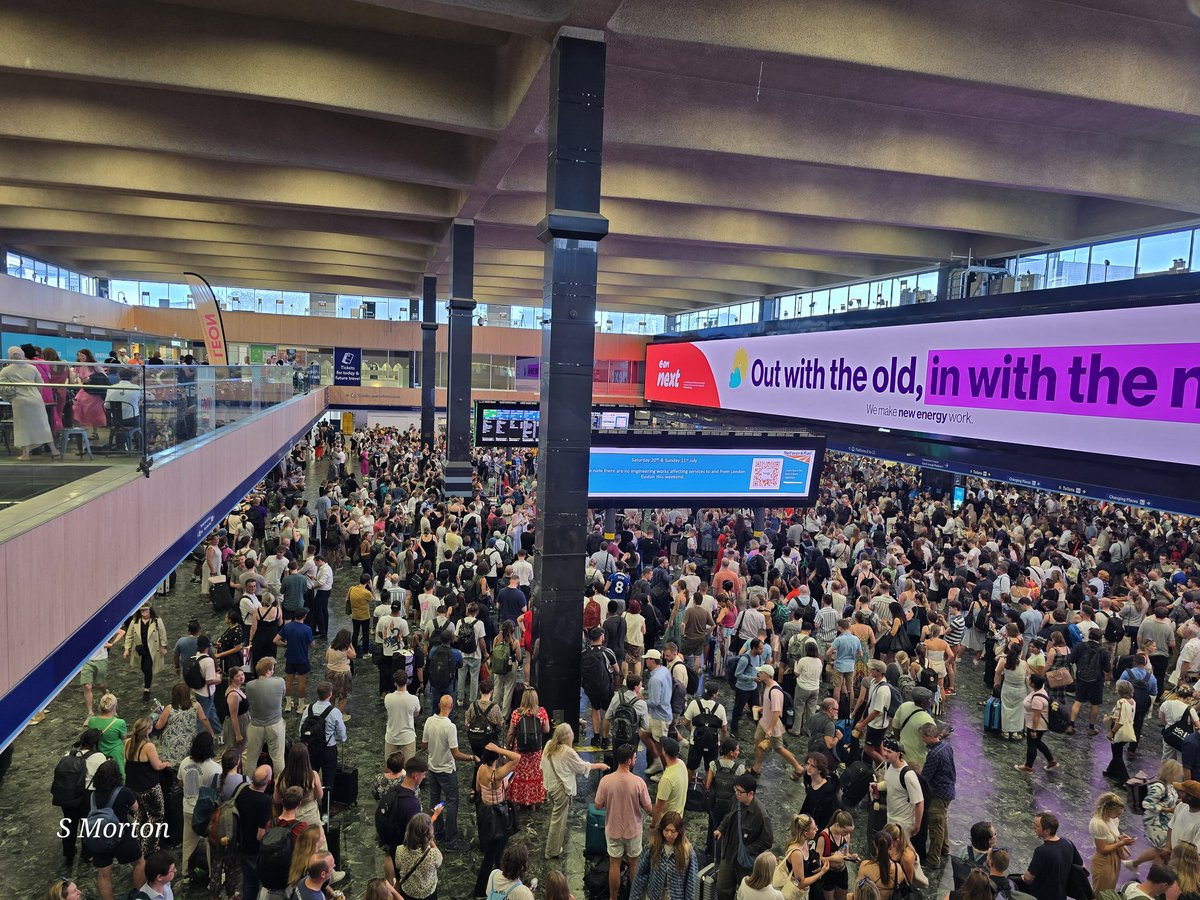 Steve Morton tweet media