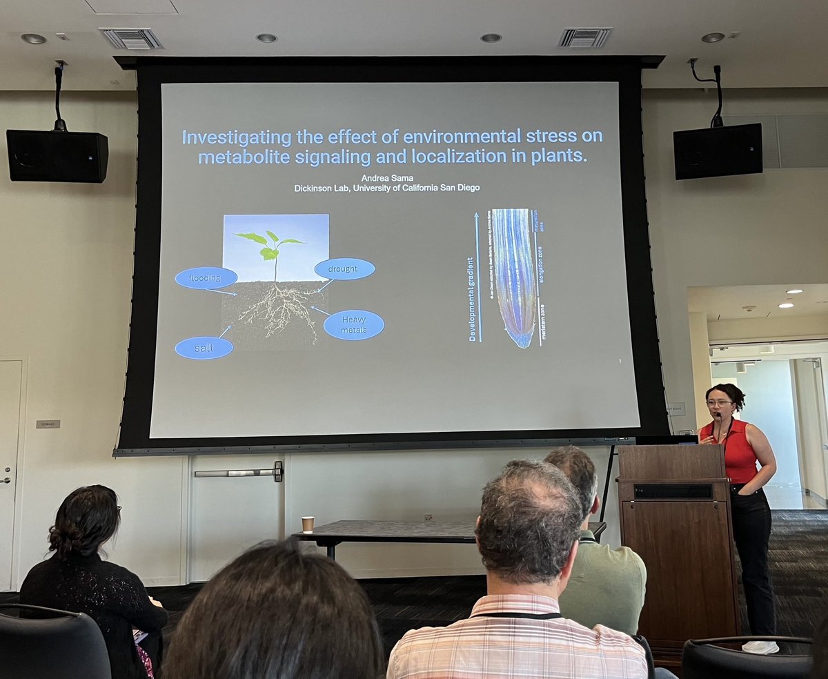 Andrea Sama @amsama.bsky.social tweet media