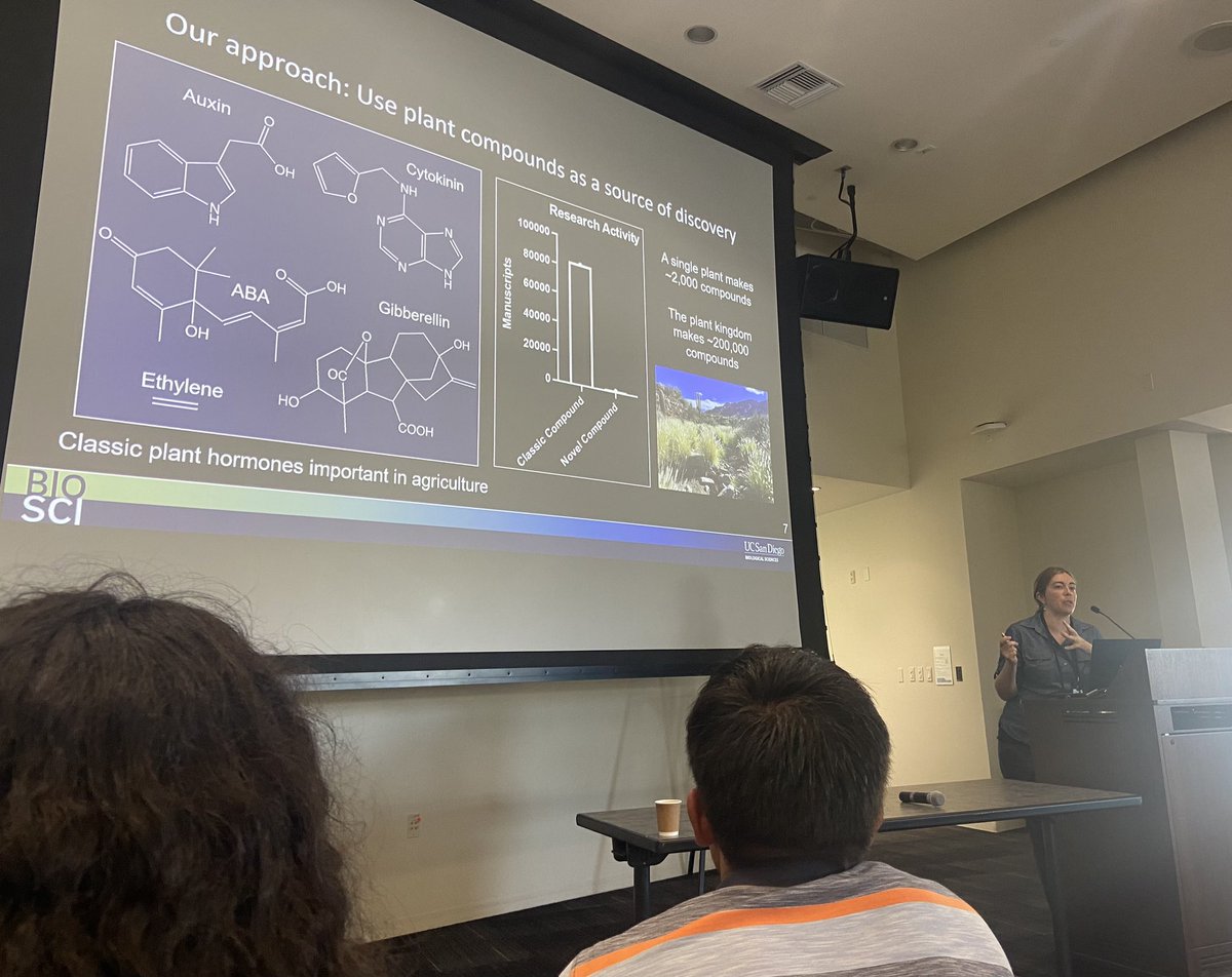 Andrea Sama @amsama.bsky.social tweet media