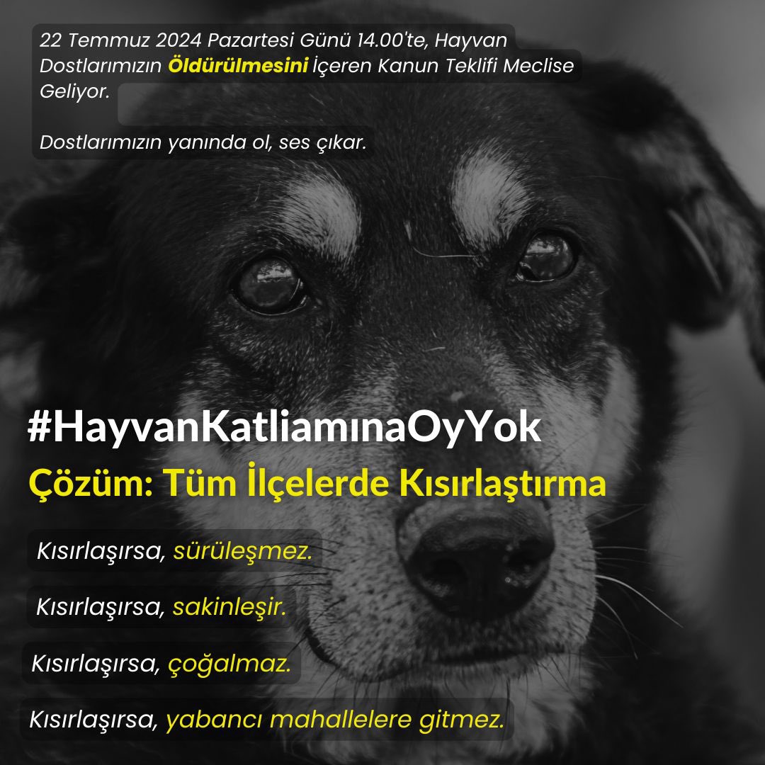 Aybke99's tweet photo. #KANLIYASAYIGERİÇEK #YASAYIGERİCEK #HAYVANKATLİAMINAOYYOK https://t.co/qixp4Mr6X3