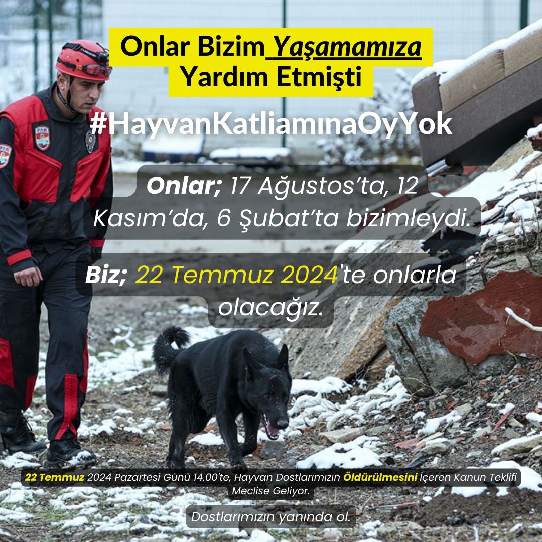 Aybke99's tweet photo. #KANLIYASAYIGERİÇEK #YASAYIGERİCEK #HAYVANKATLİAMINAOYYOK https://t.co/qixp4Mr6X3