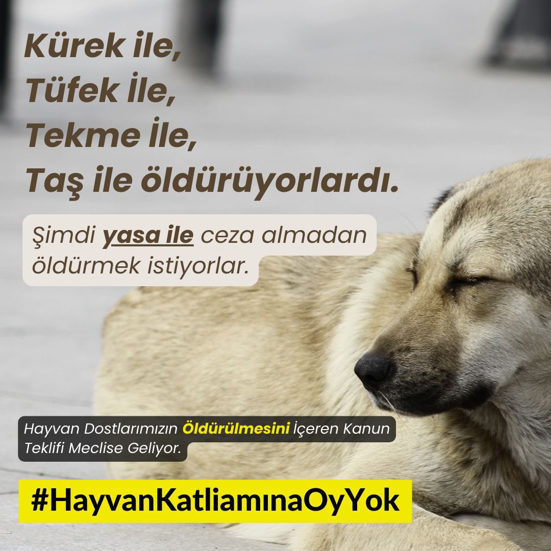 Aybke99's tweet photo. #KANLIYASAYIGERİÇEK #YASAYIGERİCEK #HAYVANKATLİAMINAOYYOK https://t.co/qixp4Mr6X3