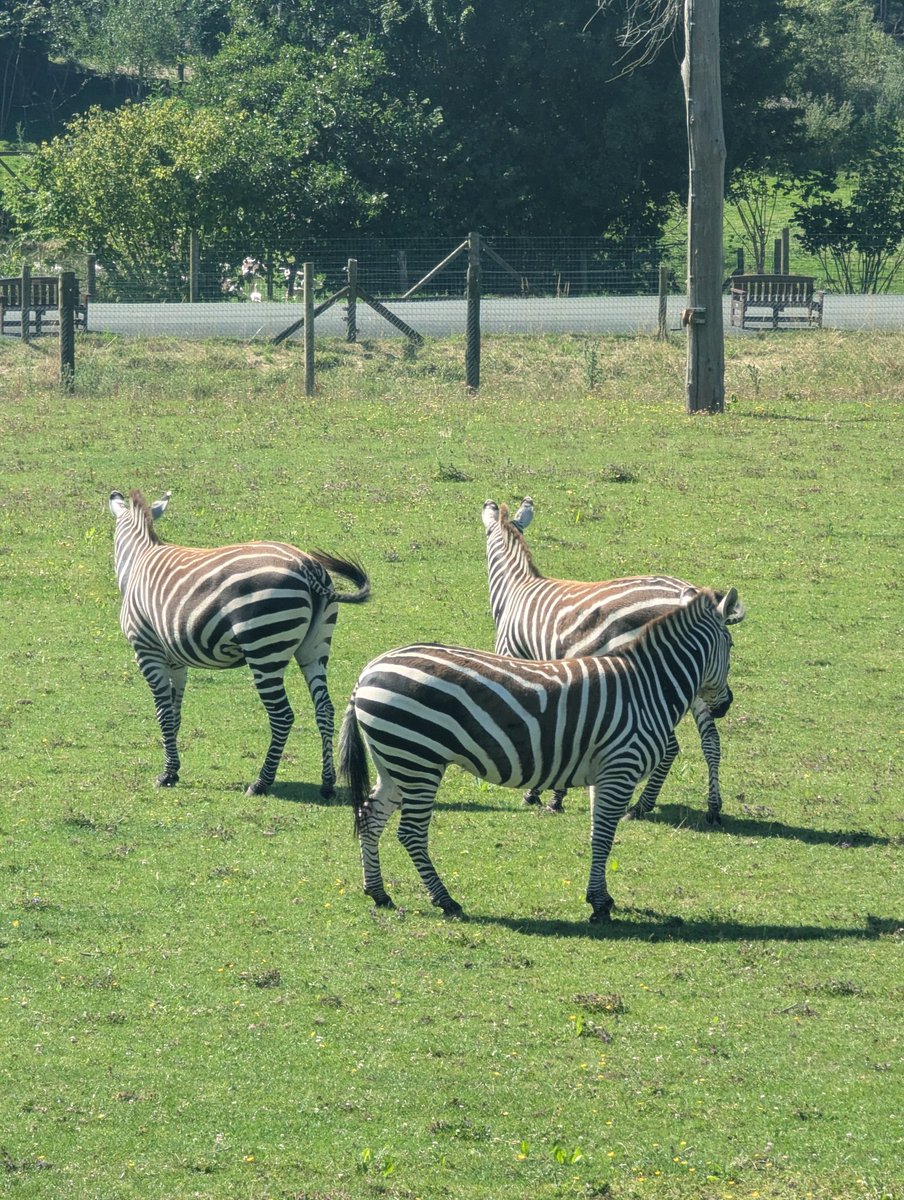 Mrs C Espeseth tweet media