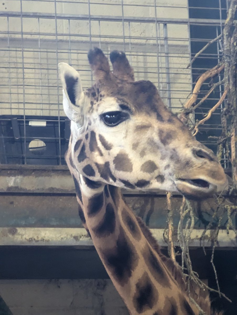 Mrs C Espeseth tweet media