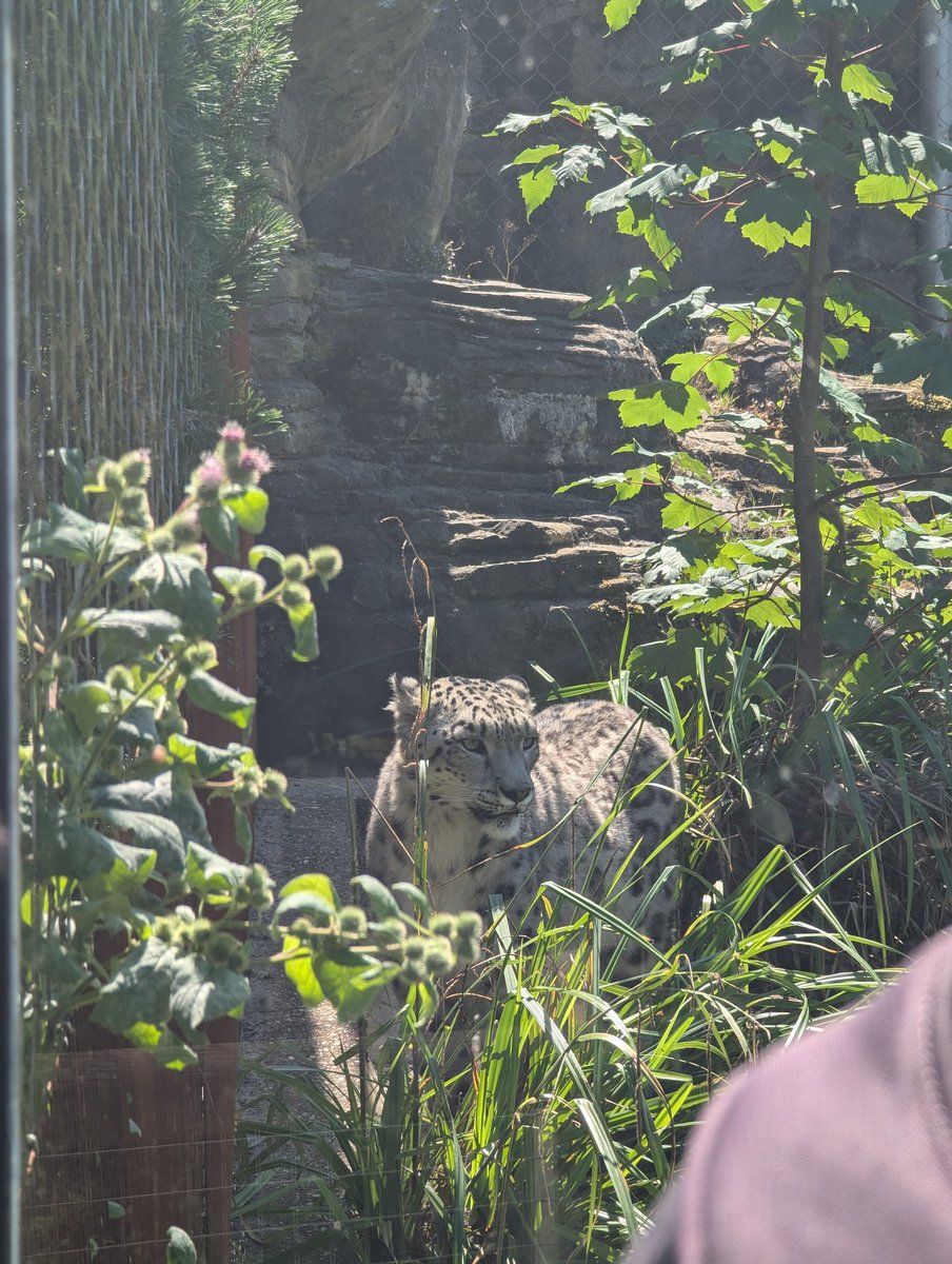 Mrs C Espeseth tweet media