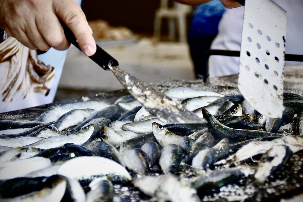 Fiestas en honor a la Virgen del Carmen, Garrucha (Almería)
#Garrucha #Almeria #FiestasLocales #Fiestas #TurismoAlmeria